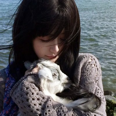 里普哈根传奇 海报